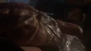 Derpy lizard