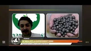 Expoforest 2025 destacó la sinergia entre el sector forestal y la construcción