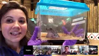Virginia Zoo | Awesome Amphibians