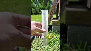 Easy Frame Feeder Options for Your Hive 🐝🍯