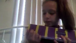 DIY flute case