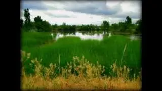 Walden Ponds Wildlife Habitat Boulder Colorado