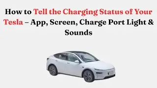 Как определить состояние зарядки вашей Tesla &mdash; приложение, экран, индикатор зарядного порта и зву...