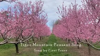 Tiger Mountain Peasant Song (Song by Fleet Foxes)  - Cover by Kerri and Jim
