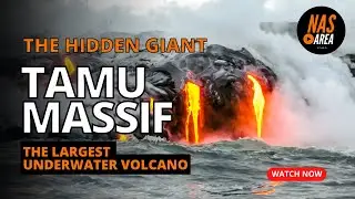 Exploring Tamu Massif: World's Largest Underwater Volcano in Oceanography