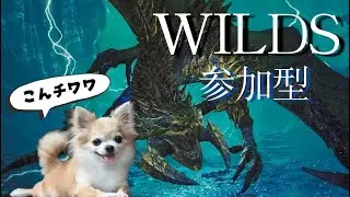 [MHWS]モンハンワイルズ参加型🐕初見さん大歓迎✨いろんなクエスト行こう🌙