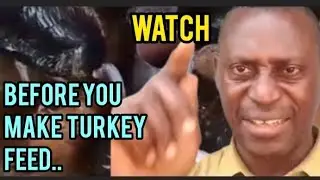Stop Wasting Money How to Formulate High-Protein Turkey Feed at Home for Rapid Growth & Bigger Birds