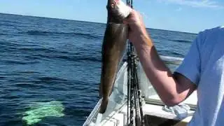 August 27th Captain Tom Whiting Event On Macsquid 014