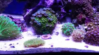 Added some new motion in my little ocean