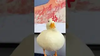 Call Ducks&rsquo; Funny Charm! 😂💖😍