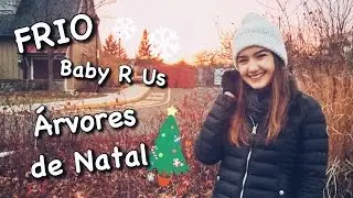PENNSYLVANIA, CHEGAMOS! - vlogmas 09