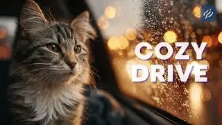 Rainy Car Ride Vibes 🚗🌧️🐱 Cozy Music for Focus & Relaxation