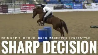 2018 RRP Thoroughbred Makeover Freestyle (Sharp Decision aka Sharpie)