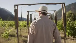 A Year In The Life: BC Wines In Summer &ndash; Short Intro