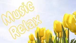 Relaxing music,  relax sound, music Rest, study, work. Музыка для релакса