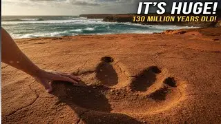 Scientists Just Found the Biggest Footprint in History