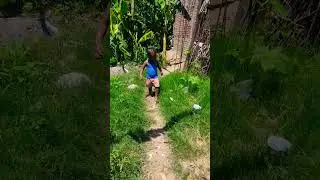 मर मिटेंगे हम || #shorts #trending #viral #youtubeshorts #bollywood #fauji #sports #bihar #bhojpuri