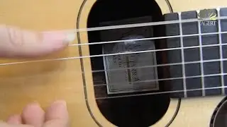 Guitarra Alpujarra 100 Boca Ovalada - Test por Jesús Amaya...