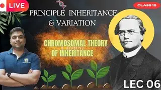 CHROMOSOMAL THEORY OF INHERITANCE |PRINCIPLE INHERITANCE & VARIATION |LEC 06 | BY DR KARAN VARDHANI
