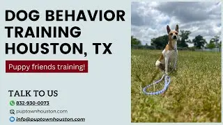 DOG BEHAVIOR TRAINING HOUSTON TX