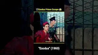 🎬 