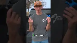 Bow Release: Cheap vs. Expensive &ndash; My Honest Pick!