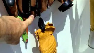 Glove Clips