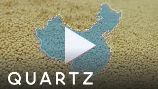 Because China: China&rsquo;s taste for meat is reshaping Brazil&rsquo;s economy&mdash;and its environment [TRAILER]