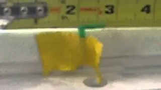 V12A Scale Deflection