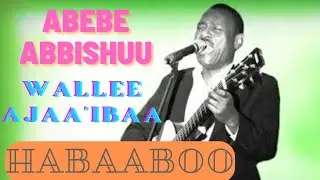 Abebe Abbishuu - Habaaboo Goree | Oromo Music