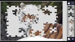 Tiger in the Snow 🐅✨Jigsaw Puzzle 🧩✨ @puzzlemaster1034 