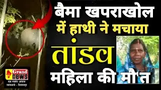 GRAND NEWS BILASPUR:जंगली हाथी का तांडव जारी,कोठार में सो रहे परिवार पर हमला