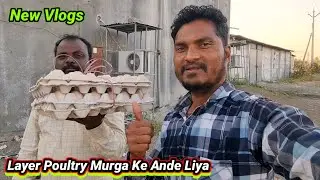 Layer Poultry Murga Ke Ande Liya 🐔||#couplevlogs #newvlog #vlogger 