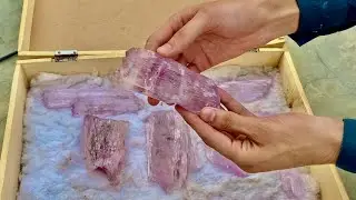 Kunzite Beautiful PCS From Afghanistan || EDENGEMS #kunzite