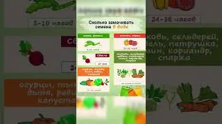 семена овощей