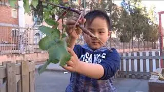 L'hort de l'Escola