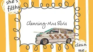 NOT SINCE THE 90s! #campervanningwithcavaliers #clean #cleaning #wash #vacuum #vanlife #dogs #van