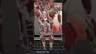 How AR is impacting immersive learning 😮