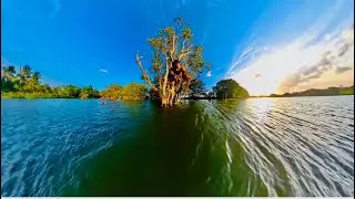 Epic Jump Into Village Lake | Summer Splash Adventure 🤿🏊&zwj;♀#jumping #lake #village #sunset #adventure