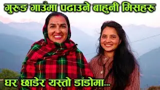 गुरुङ गाउँको विद्यालयमा पढाउने शिक्षिकाहरु, पढाउन गाह्रो कि सजिलो ? │Nepal Chitra