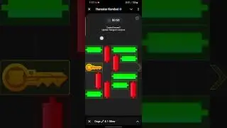15 August Daily Mini Game #hamsterkombat