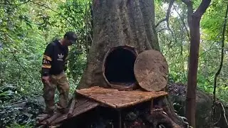 Camping Alone: Building a Tree-Hole Shelter for the Night