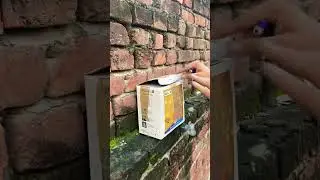 Bidi bomb vs box testing  💣| Bijli bomb #shorts #diwali #bidibomb #diwalifirecrackers