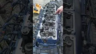 момент затяжки гбц wp12 Euro-5