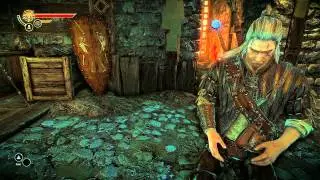 The Witcher 2 Gameplay (PC) Arena [1080p Full HD, Ultra Graphics]