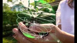 Magic Natural Bag  -  Eco-Friendly Bag