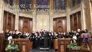 Tzadik Katamar  - David Friedman