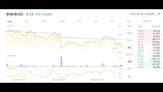 Live Buy and sell update of BNB BUSD in Binance increased by 3.22% at $313.8 as of May 22 2022