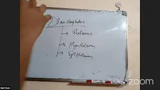 Zoology | Smart Academy's Online Class | 9868295462 For Admission |