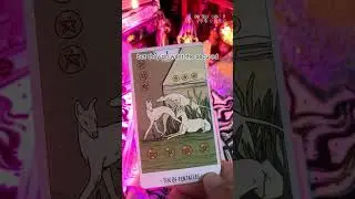Someone is wanting to communicate with you❤️#spiritual #soulmate #tarotcards #twinflame #zodiac #fy
